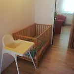 Apartma Gister And Wellnes רוקיטניצה נאד איז'רו