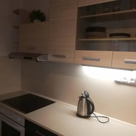 Apartma Gister And Wellnes Homestay *
