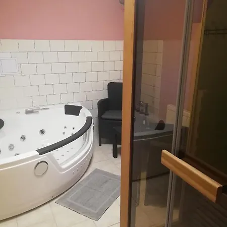 Apartma Gister And Wellnes Homestay Rokytnice nad Jizerou
