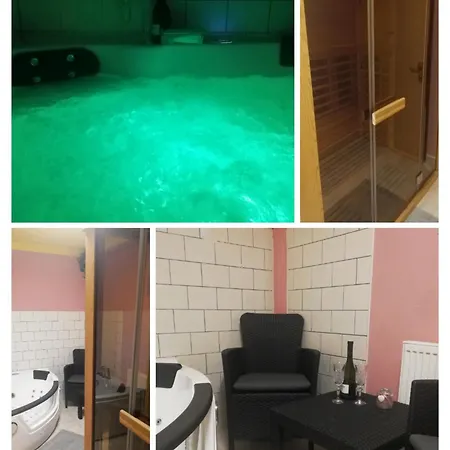 Kwatera prywatna Apartma Gister And Wellnes *