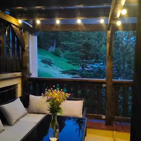 Apartma Gister And Wellnes Homestay