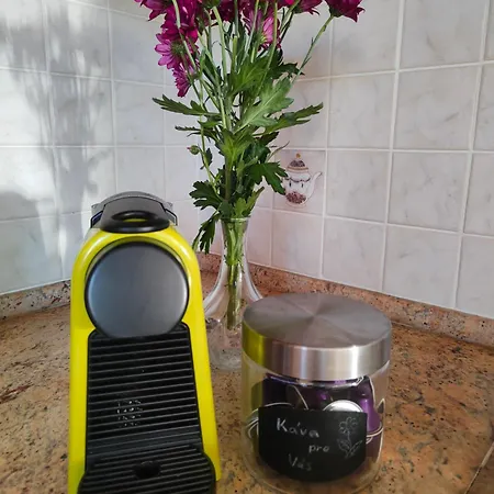 Apartma Gister And Wellnes