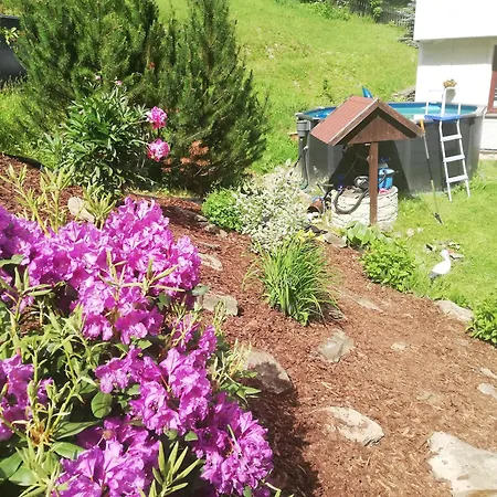 Homestay Apartma Gister And Wellnes *